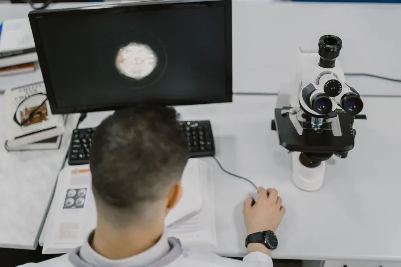 Calibrating the Engine: Why Metabolic Rate Optimization Is More Precise Than You Think